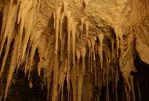 Waitomo Glowworm Caves